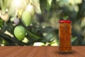 A jar of spicy mango pickle on a wooden table surface against the natural backdrop of a beautiful mango tree