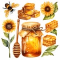 Jar of thick honey from sunflower Royalty Free Stock Photo