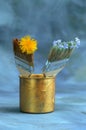 A jar with two fluted brushes, in the bristles of which are flowers, on a blue background. Selective focus