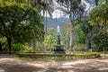 Jardim Botanico Botanical Garden - Rio de Janeiro, Brazil Royalty Free Stock Photo