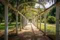 Jardim Botanico Botanical Garden - Rio de Janeiro, Brazil Royalty Free Stock Photo