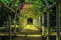 Jardim Botanico, Rio de Janeiro Royalty Free Stock Photo