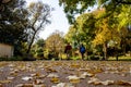 People strolling in Jardim da Estrela with fallen leaves along the way, on a sunny day