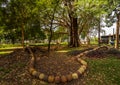 Jardim da Luz in Sao Paulo Royalty Free Stock Photo