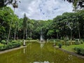 Jardim da Luz, Sao Paulo Royalty Free Stock Photo