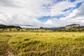 Jardim de Maytrea, Chapada dos Veadeiros Royalty Free Stock Photo