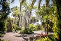 Jardin Botanico, Garden park in Tenerife