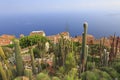 Jardin botanique d`Eze, with various cacti on foreground, aerial view, French Riviera