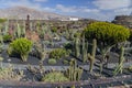 Jardin De Cactus Lanzarote