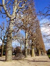 Jardin des Plantes Garden of Plants. Paris - France Royalty Free Stock Photo