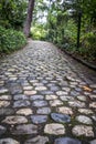 Jardin des plantes park in fall season