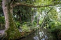 Jardin des plantes park in fall season