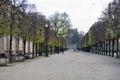 Jardin des Tuileries - The Tuileries Garden Park in Paris, France Royalty Free Stock Photo