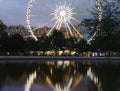 Jardin du Carrousel et des Tuileries Ferris Wheel Paris