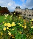 Jardin du Luxembourg & Palace