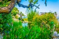 Jardin Exotique garden in Monaco Royalty Free Stock Photo