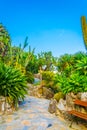 Jardin Exotique garden in Monaco Royalty Free Stock Photo