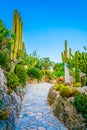 Jardin Exotique garden in Monaco Royalty Free Stock Photo