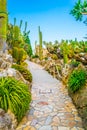 Jardin Exotique garden in Monaco Royalty Free Stock Photo