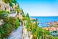 Jardin Exotique garden in Monaco Royalty Free Stock Photo