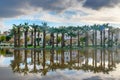 Jardin Jnan Sbil, Royal Garden in Fes. Morroco Royalty Free Stock Photo