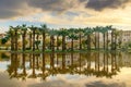 Jardin Jnan Sbil, Royal Garden in Fes. Morroco