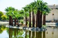 Jardin Jnan Sbil, Royal Park in Fes with its lake and towering palms, Fez, Morocco