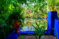 Jardin Majorelle Gardens in Marrakech, Morocco. Tropical plants and cactus