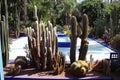 Jardin Majorelle, Marrakech