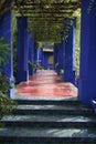 Jardine Majorelle