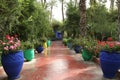 Jardine Majorelle