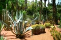 Jardine Majorelle in Marrakesh, Morocco