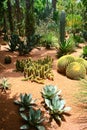 Jardine Majorelle in Marrakesh, Morocco