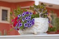 Jardiniere - with colorful petunias