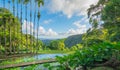 Jardins de la Balata in Fort-De-France, Martinique.