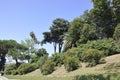 Jardins do Palacio de Cristal Gardens in Downtown of Porto Portugal Royalty Free Stock Photo