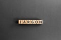 Jargon - word from wooden blocks with letters Royalty Free Stock Photo