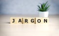 Jargon - word from wooden blocks with letters, special words and phrases jargon concept, top view on blue background