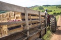 Man drives a tractor loaded with wooden boxes in a vineyard