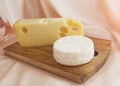 Jarlsberg Cheese with Camembert Cheese Royalty Free Stock Photo