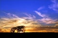 Jarrett Prairie Nature Preserve Sunset Royalty Free Stock Photo