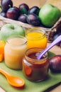 Jars with baby food plum, apple and pumpkin puree with spoon near fresh fruits Royalty Free Stock Photo