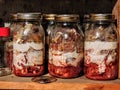 Jars of canned tomatoes lined in a row rotten and moldy Royalty Free Stock Photo