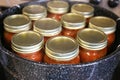 Jars of Freshly Canned Homemade Salsa Boiling in Pot