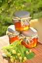 Jars full of delicious fresh honey linden flowers Royalty Free Stock Photo