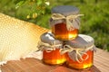 Jars full of delicious fresh honey linden flowers Royalty Free Stock Photo