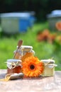 Jars full of delicious honey and bee pollen Royalty Free Stock Photo