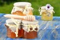 Jars full of delicious honey and bee pollen Royalty Free Stock Photo