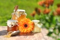 Jars full of delicious honey and bee pollen Royalty Free Stock Photo