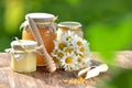 Jars full of delicious honey and bee pollen Royalty Free Stock Photo